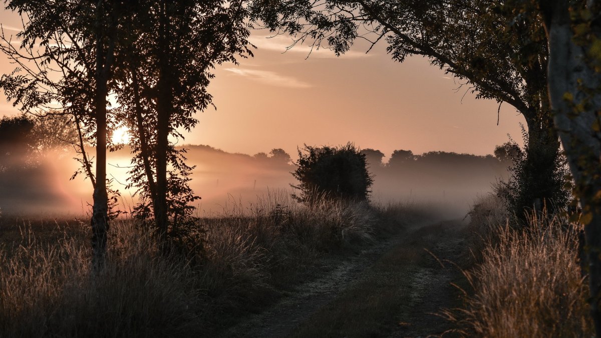 Эстетические пейзажи