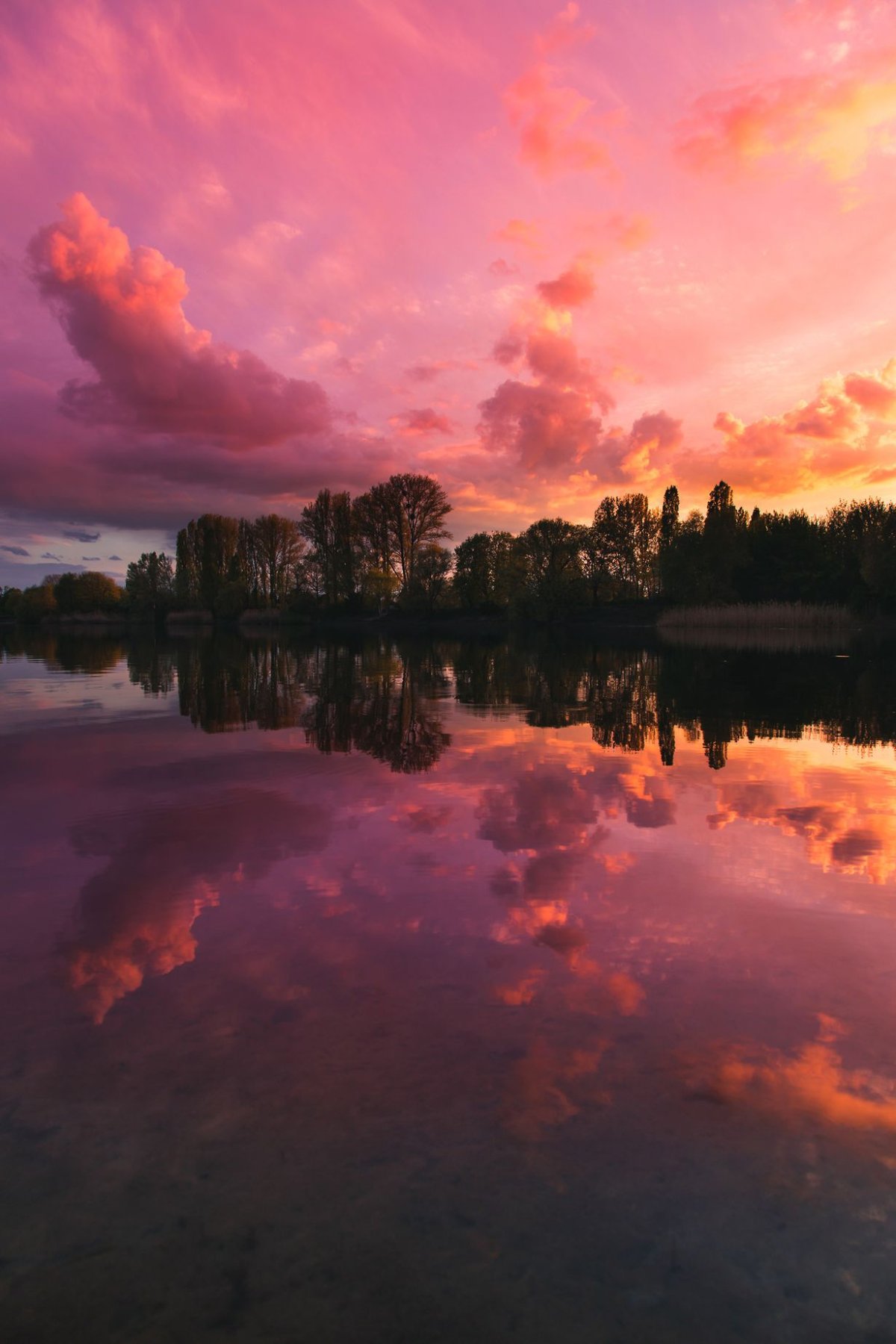 Розовый пейзаж