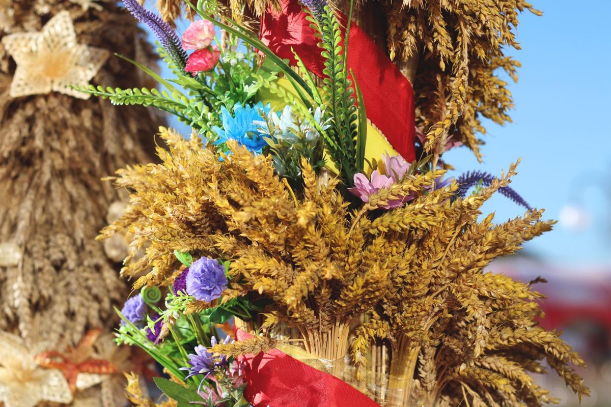 Рамки для Дожинок