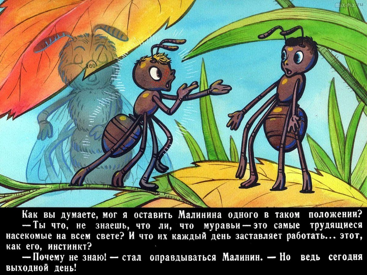 Стрекоза сидит на цветке одной линией