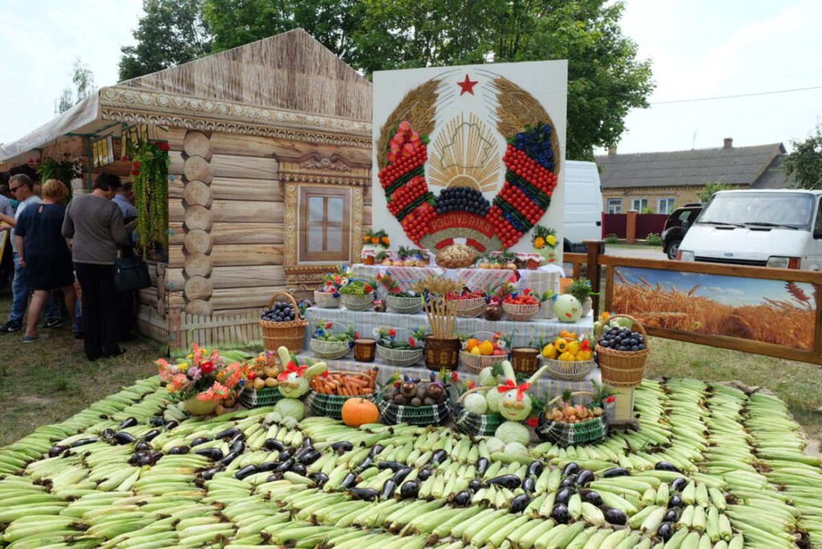 Сбор урожая в поле