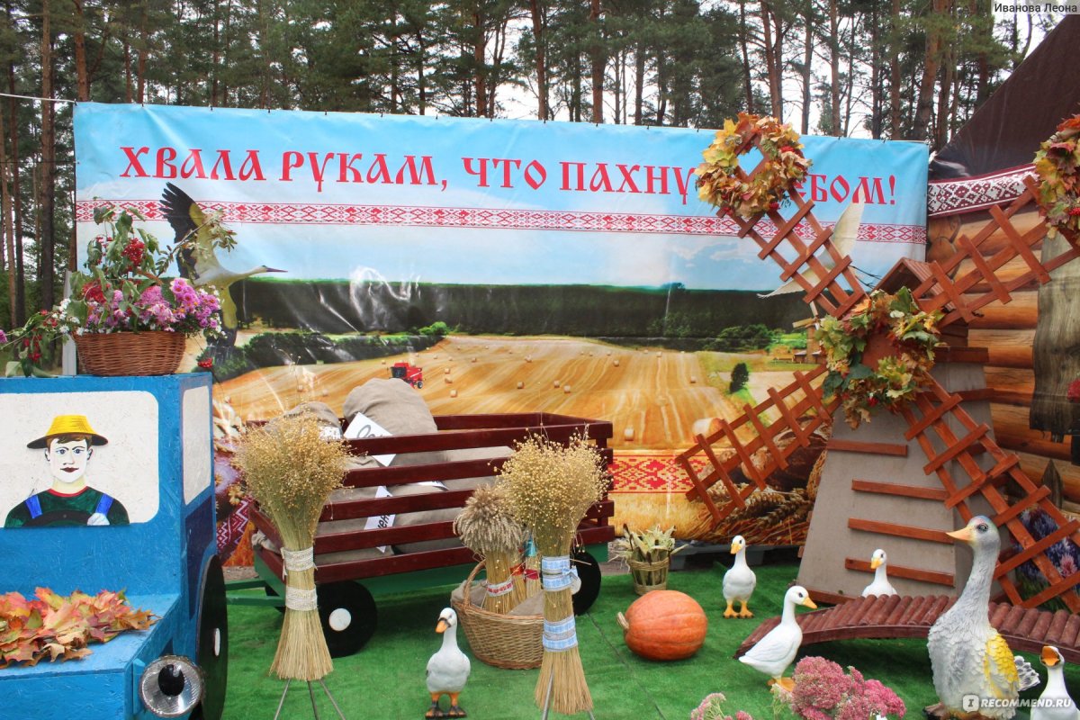 Пряники Дожинки