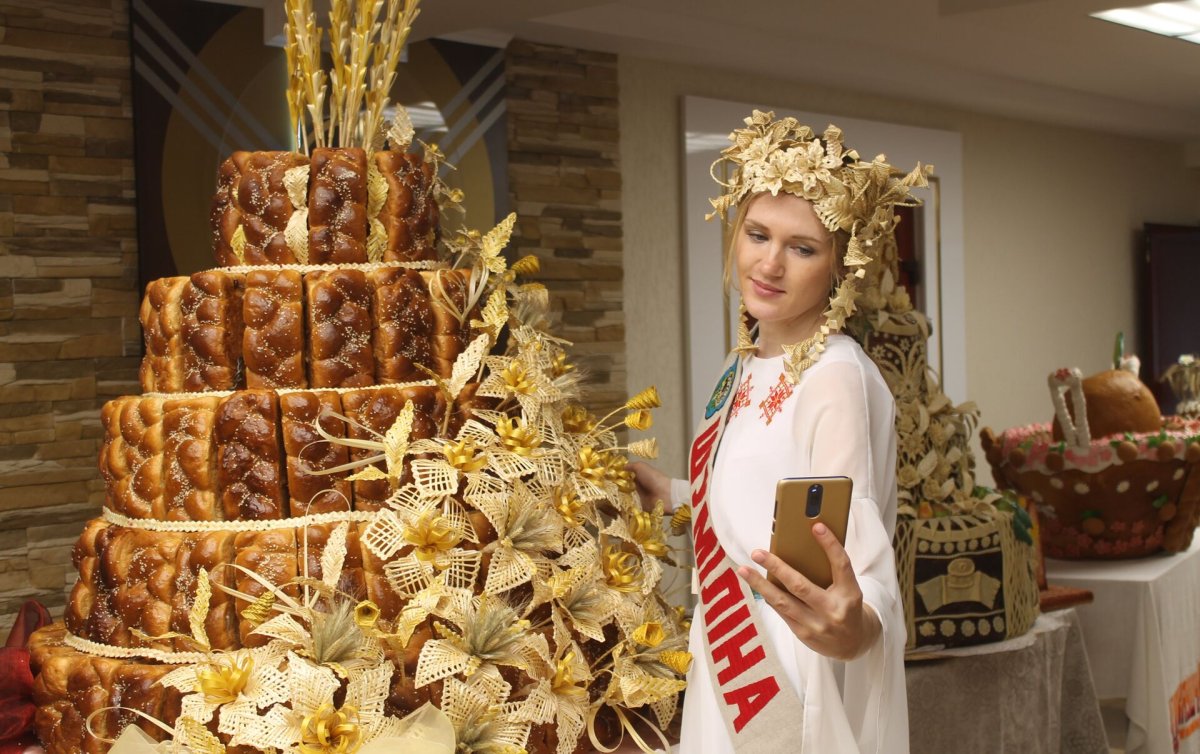 Карикатура на Дожинки