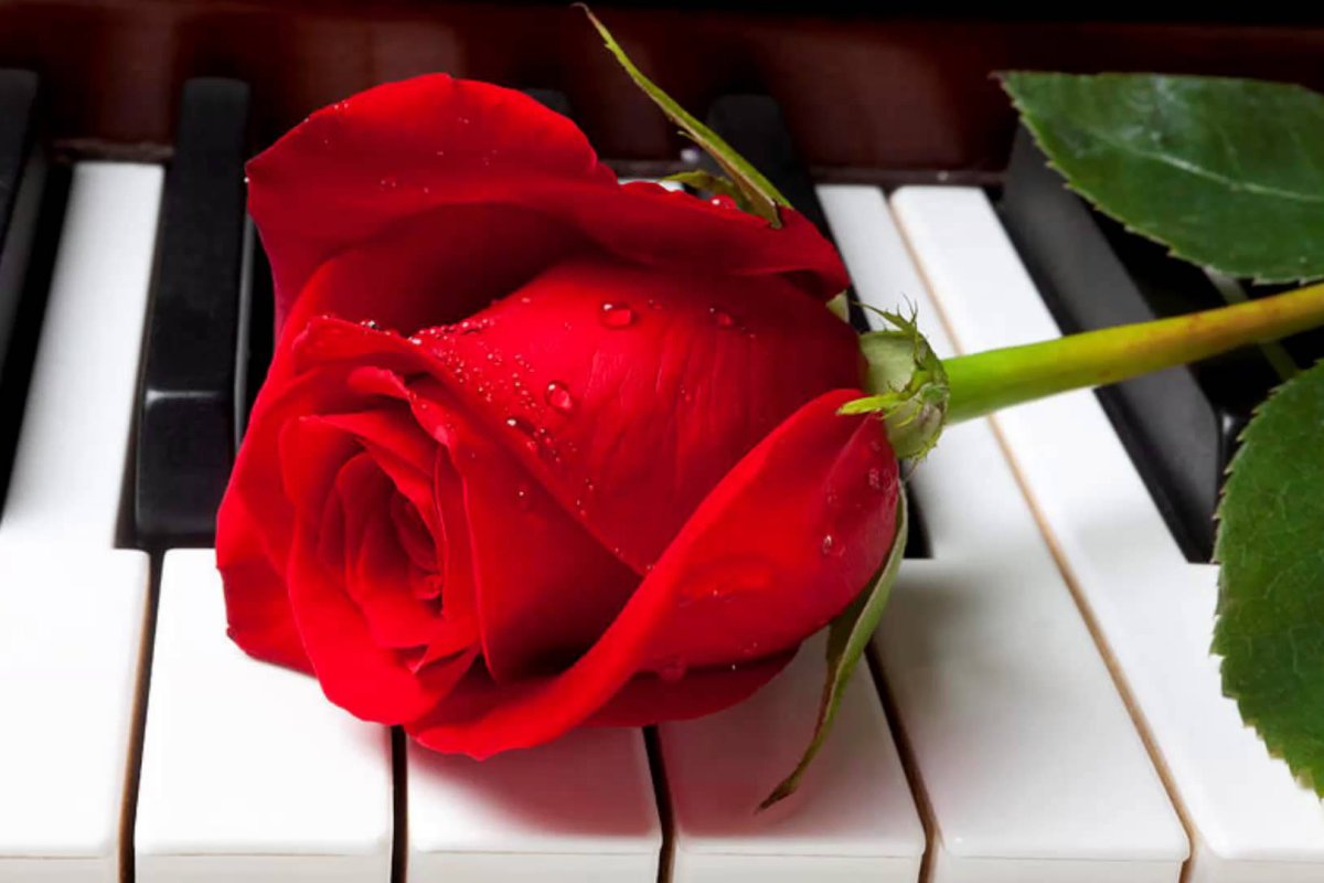 Декор торта для музыканта