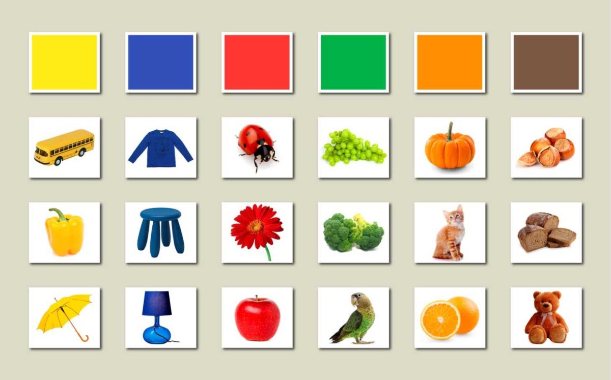 Цвета для детей