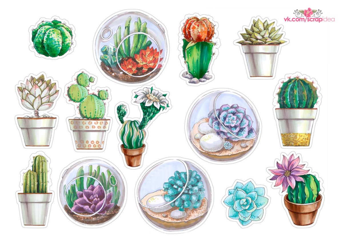 Стикеры Суккуленты