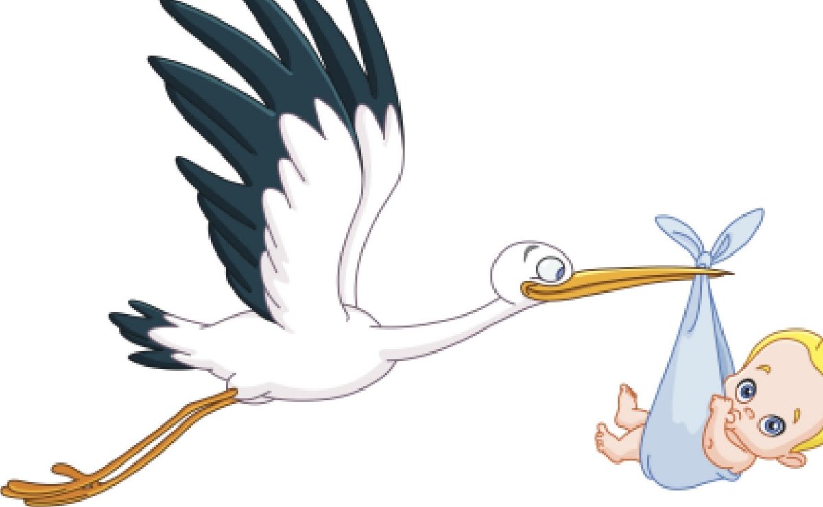 Аист с ребенком