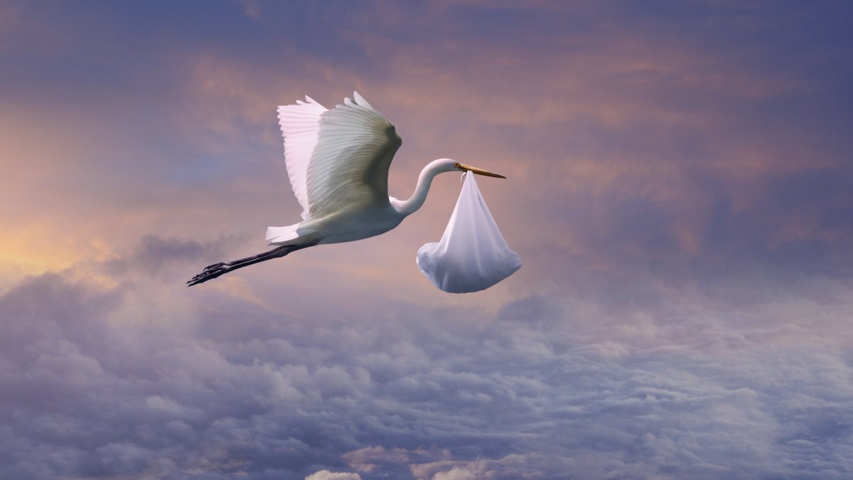 Аист с ребенком