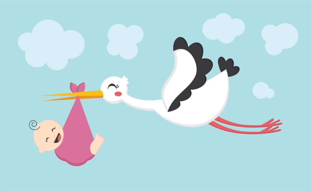 Аист несет малыша