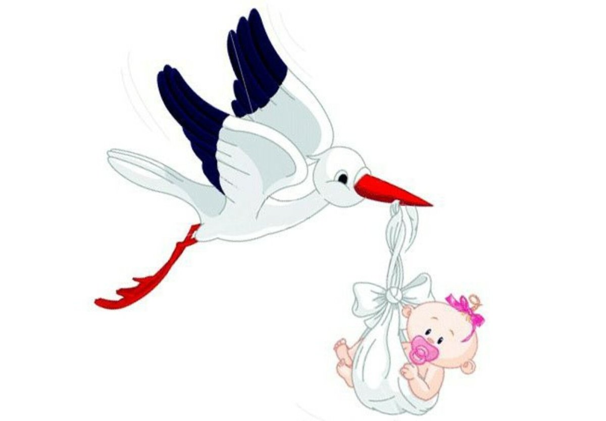 Аист с ребенком