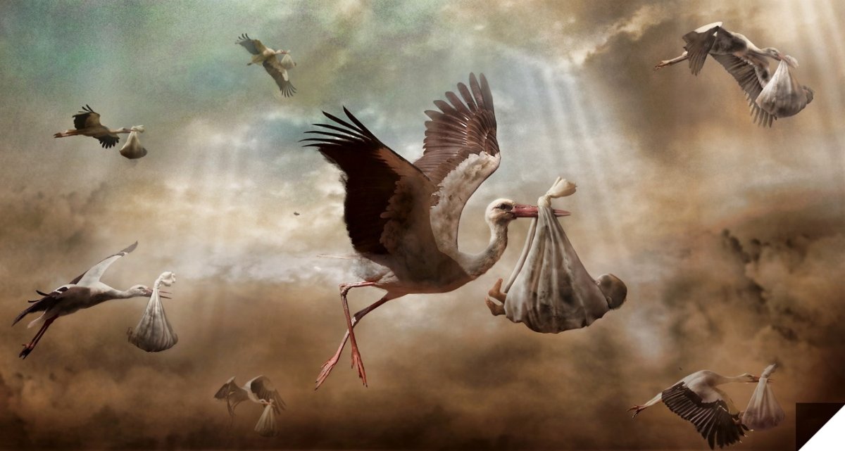 Журавль несет ребенка