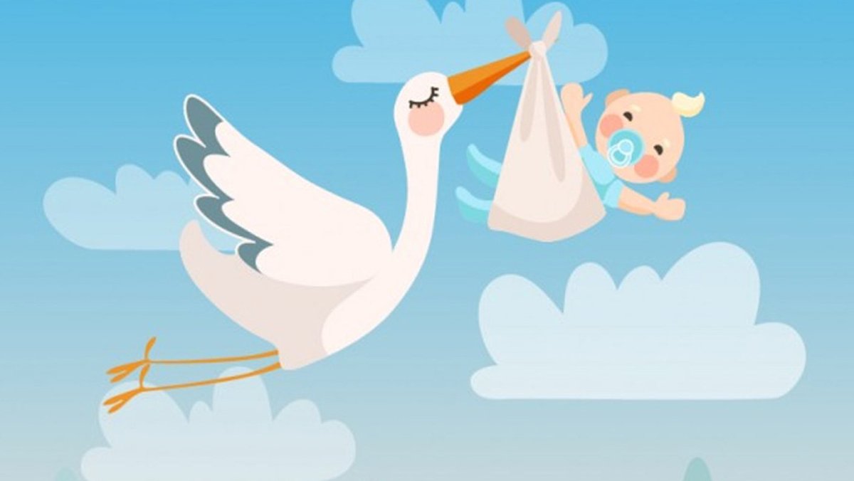 Аист с малышом