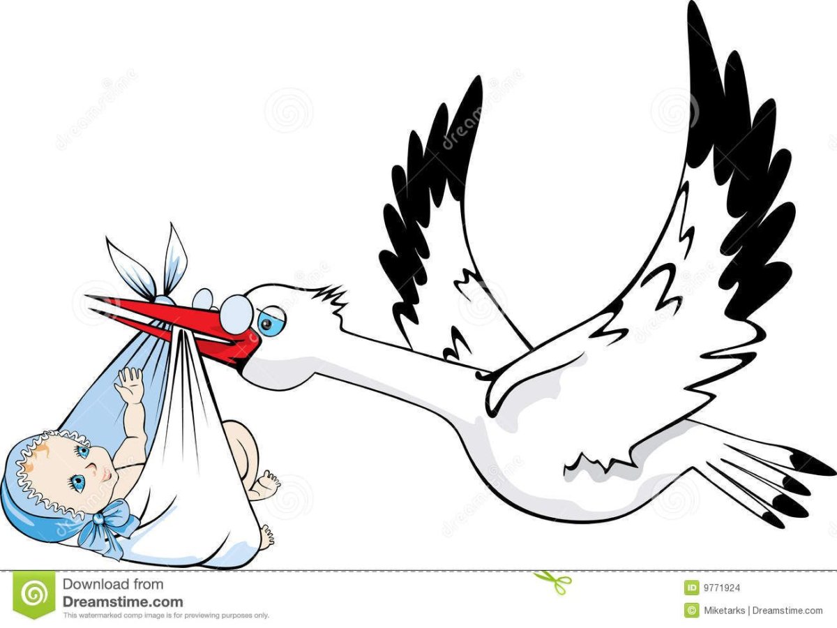 Аист с малышом в клюве