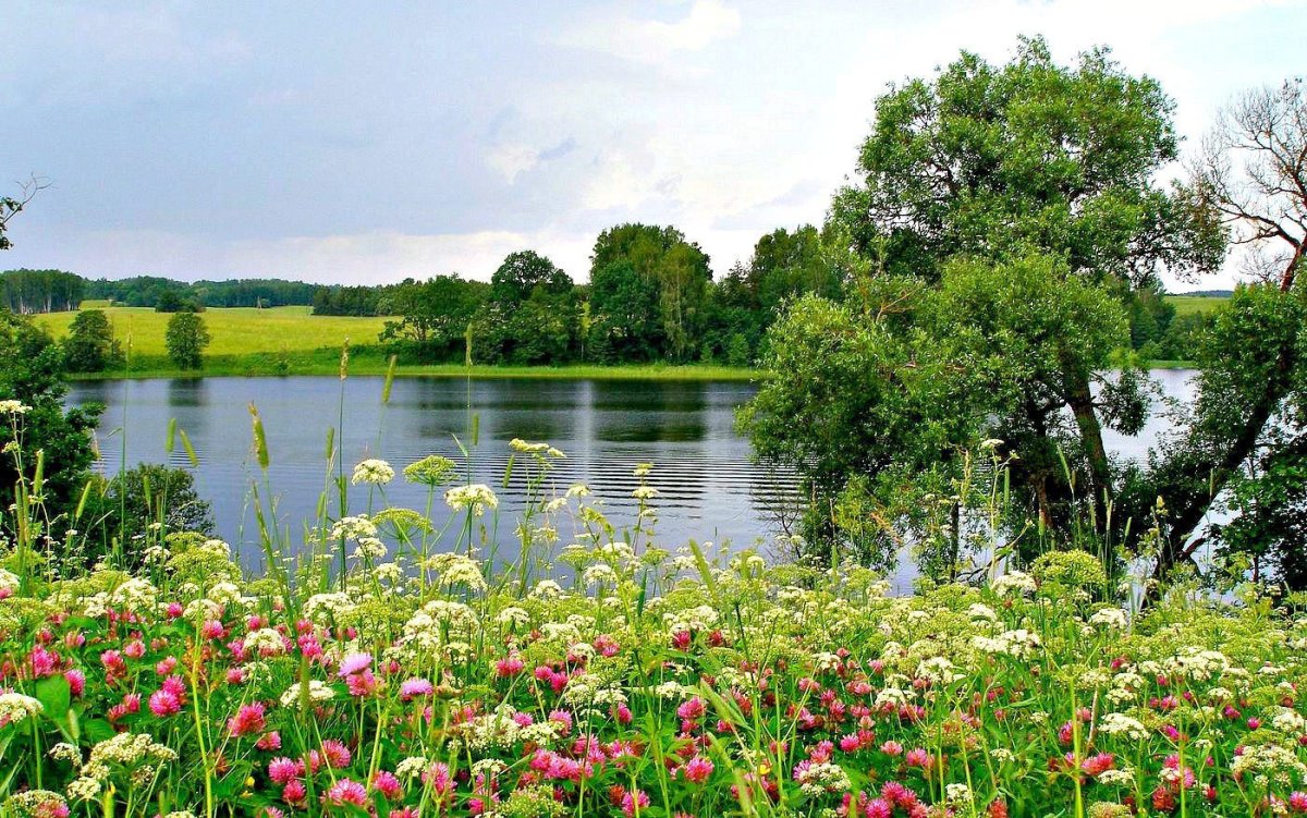 Пейзаж лето