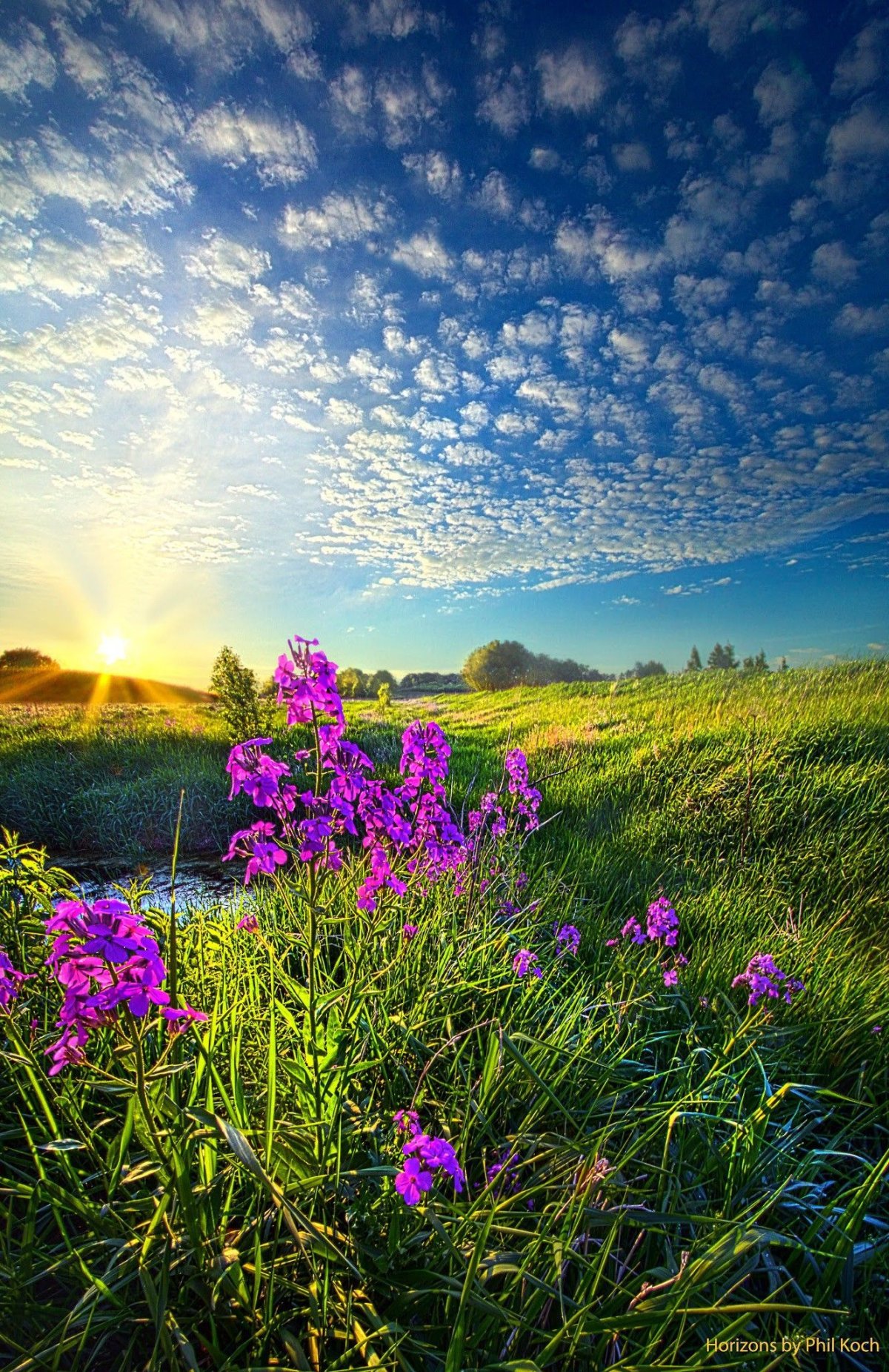 Летний пейзаж