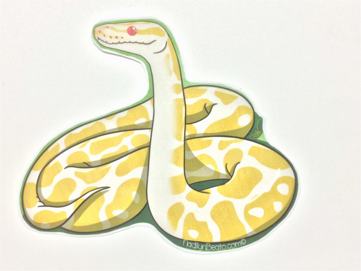 Королевский питон референс