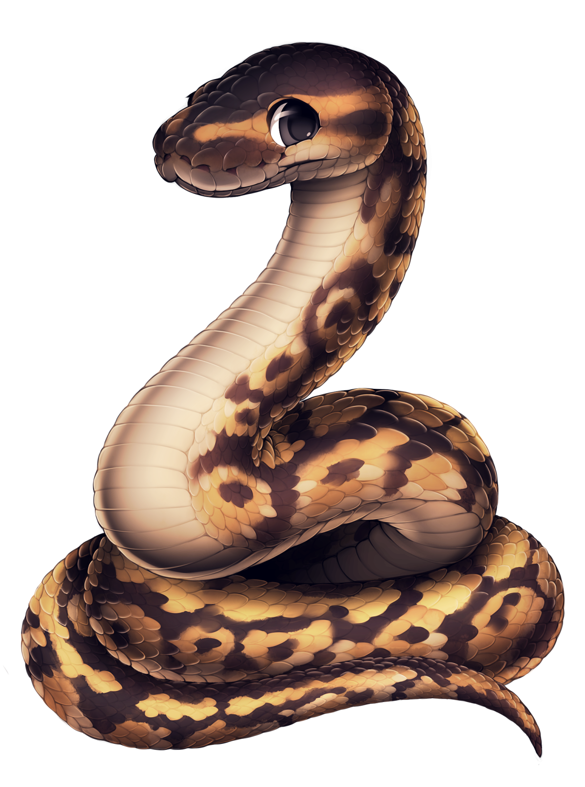 Королевский питон арт