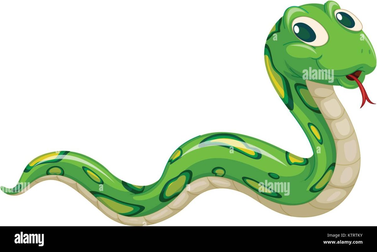 Короткая змея для детей