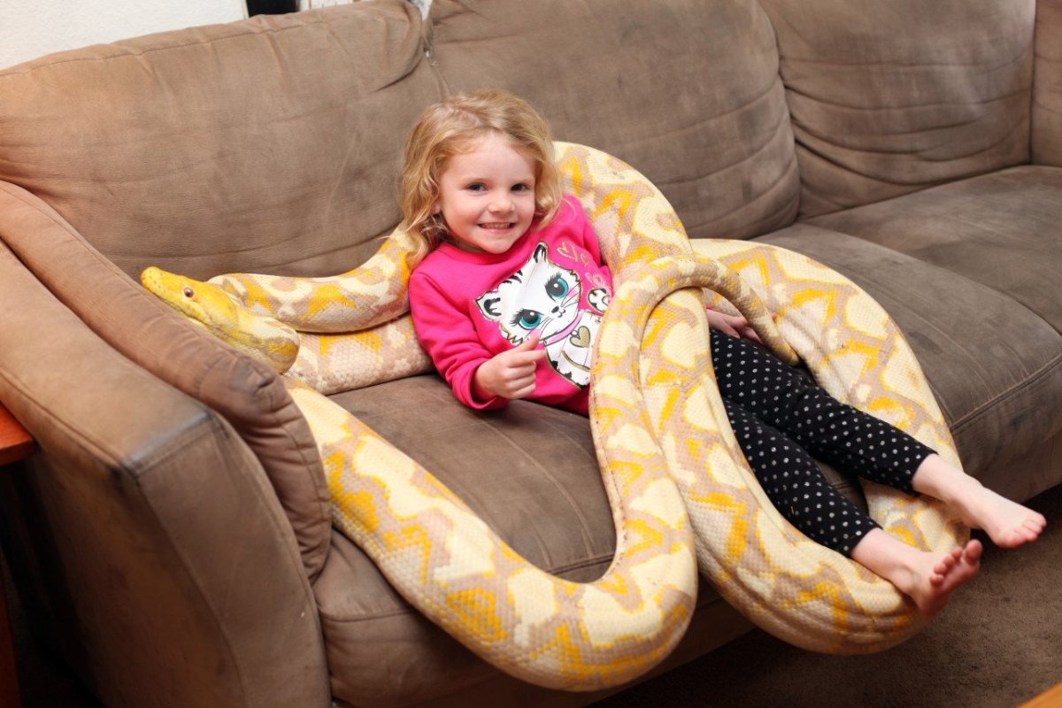 Змея мультяшная