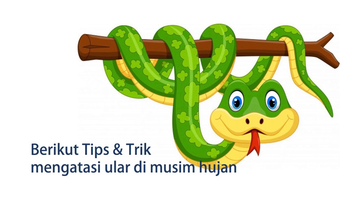 Сказочная змея на белом фоне