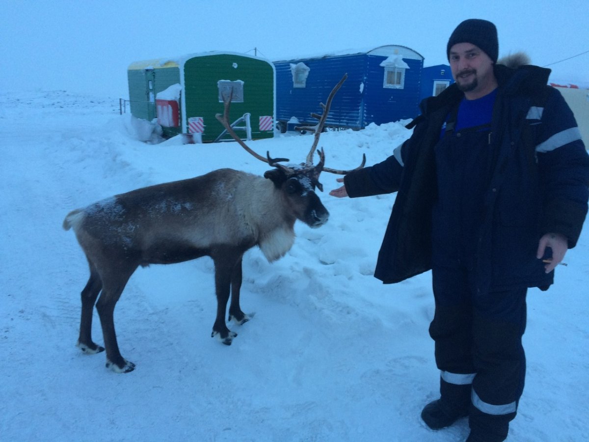 Приколы про вахтовиков