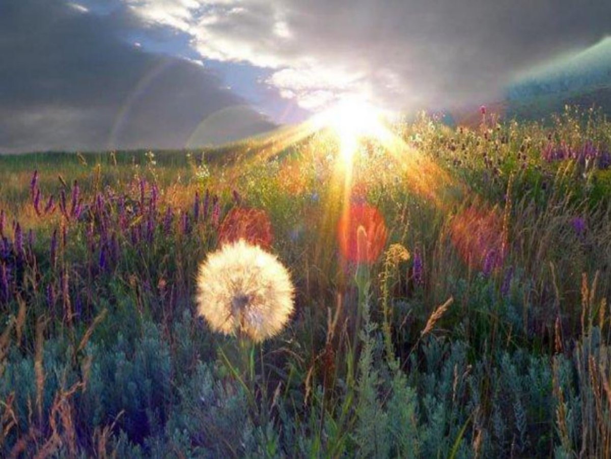 Рассвет души