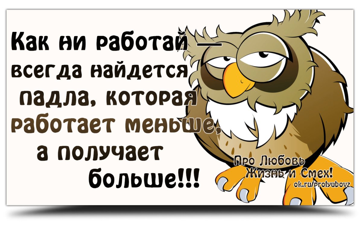 Прикольные статусы в картинках