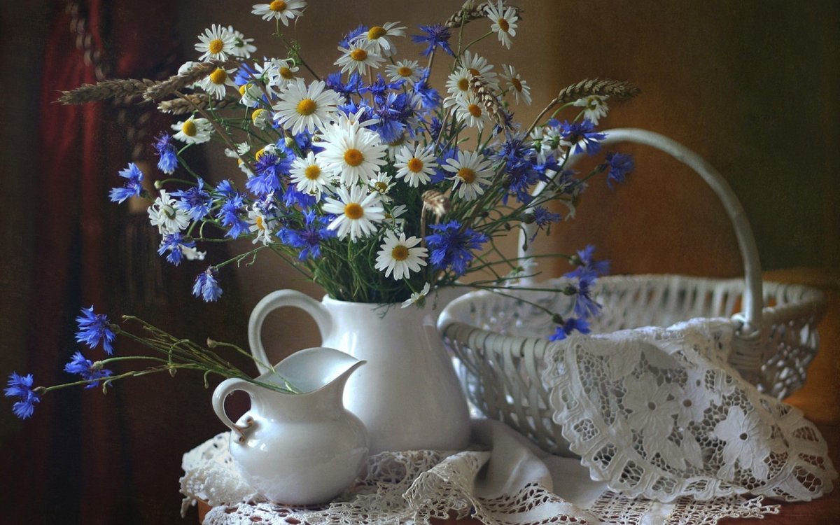 Фотонатюрморты с ромашками и васильками