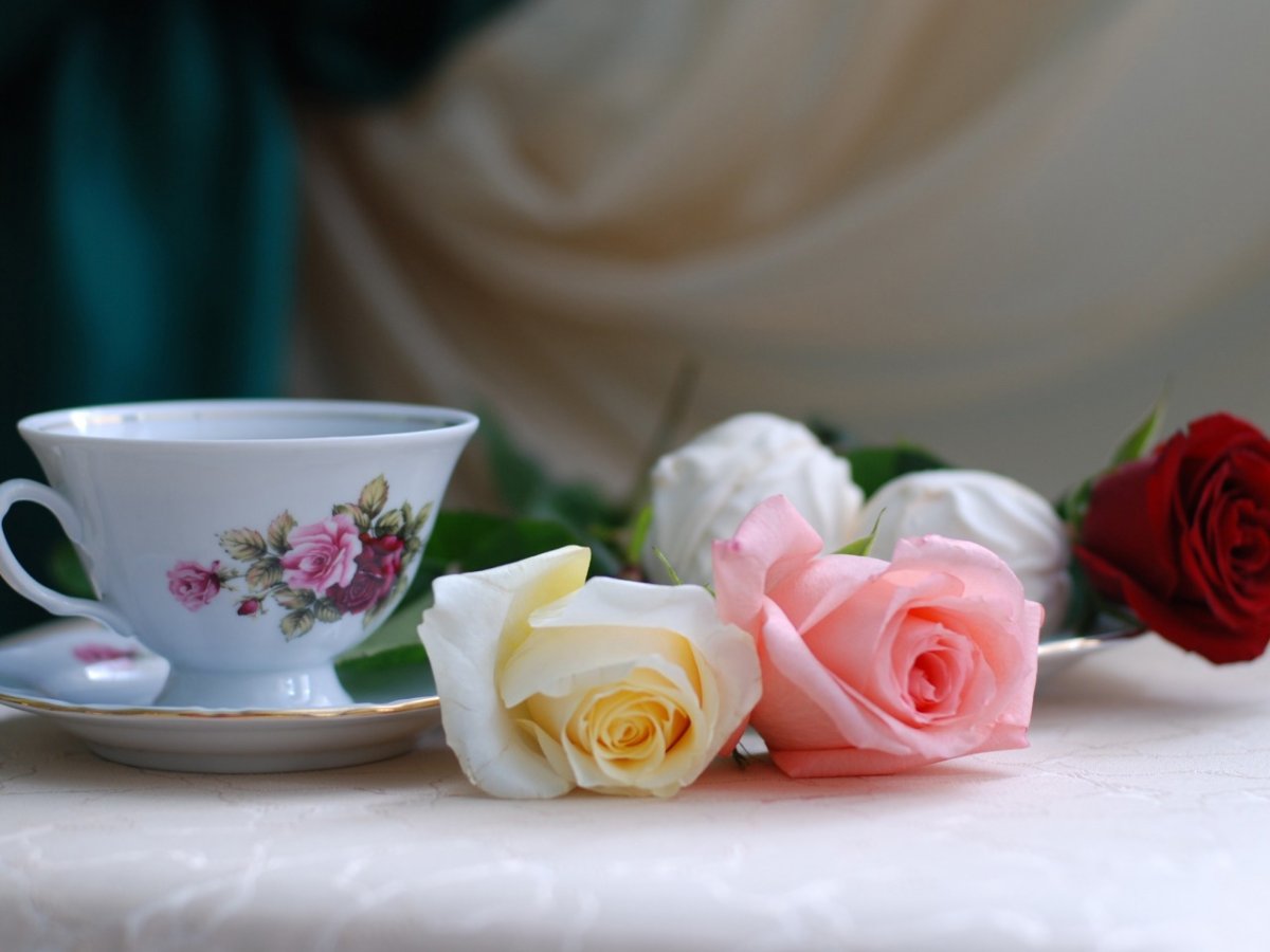 Доброе утро Оля