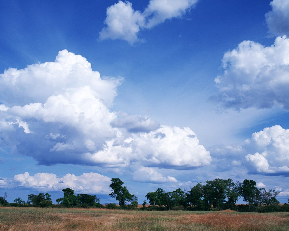 Облачное небо с земли