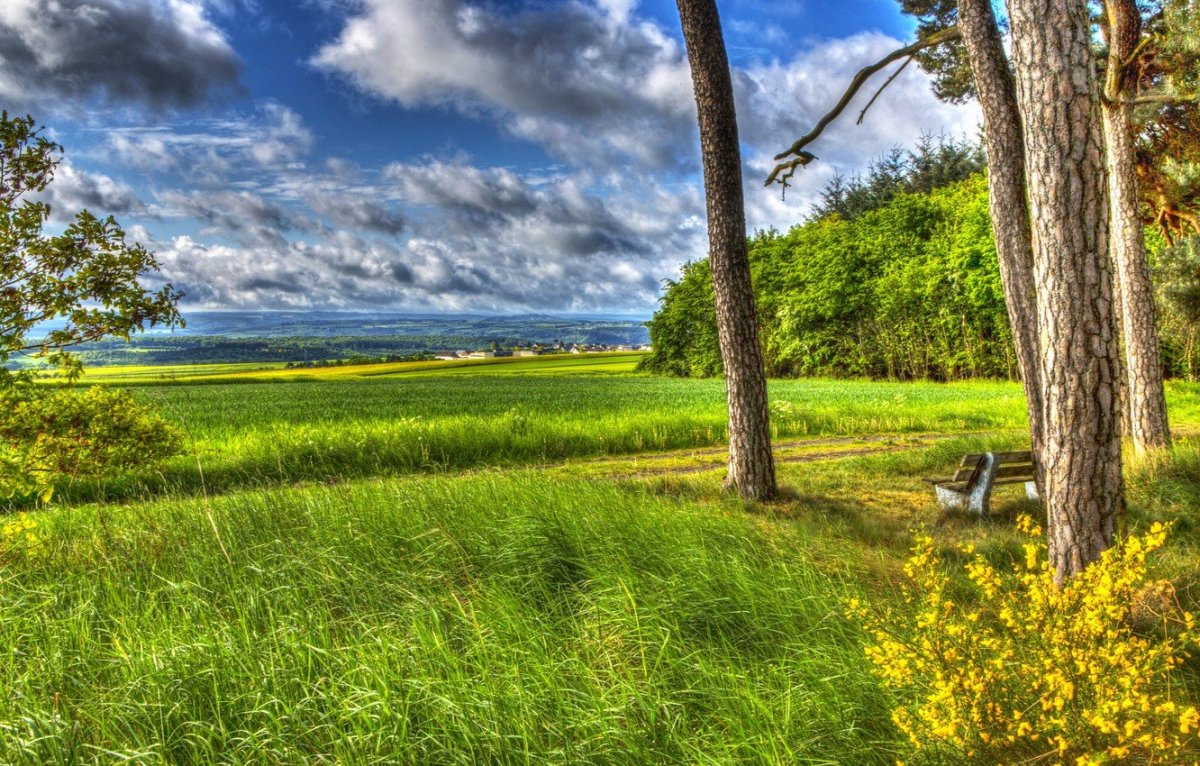Красивые летние пейзажи