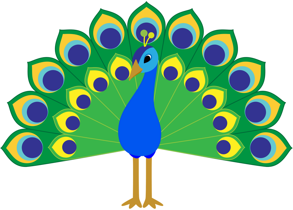 Павлин для детей