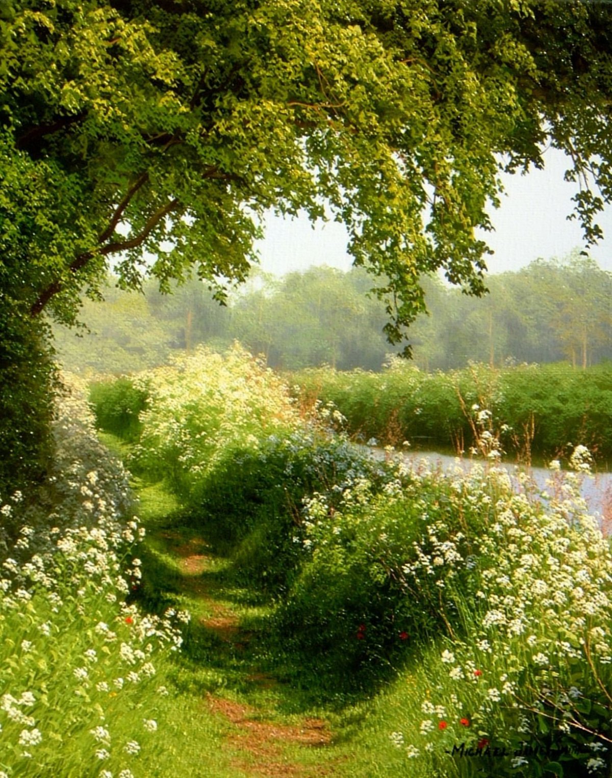 Летняя природа