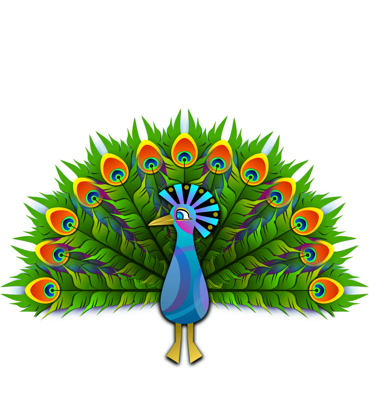 Павлин красками