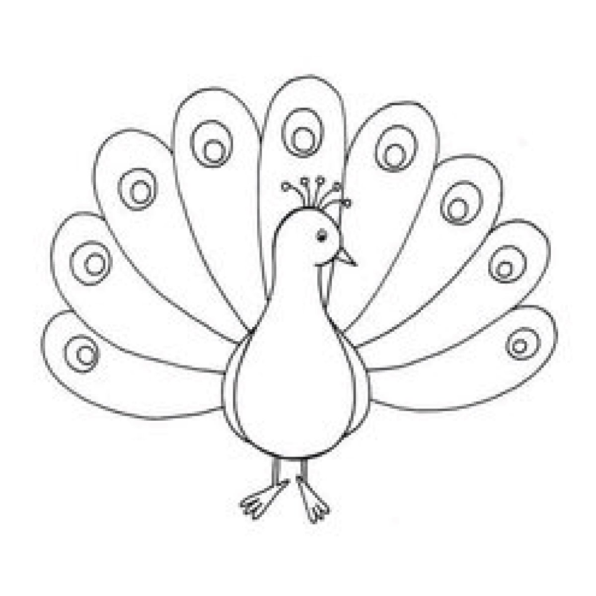 Карточки птицы Павлин для детей