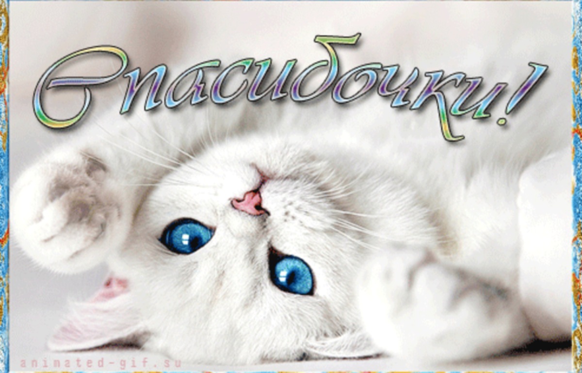 Открытка спасибо