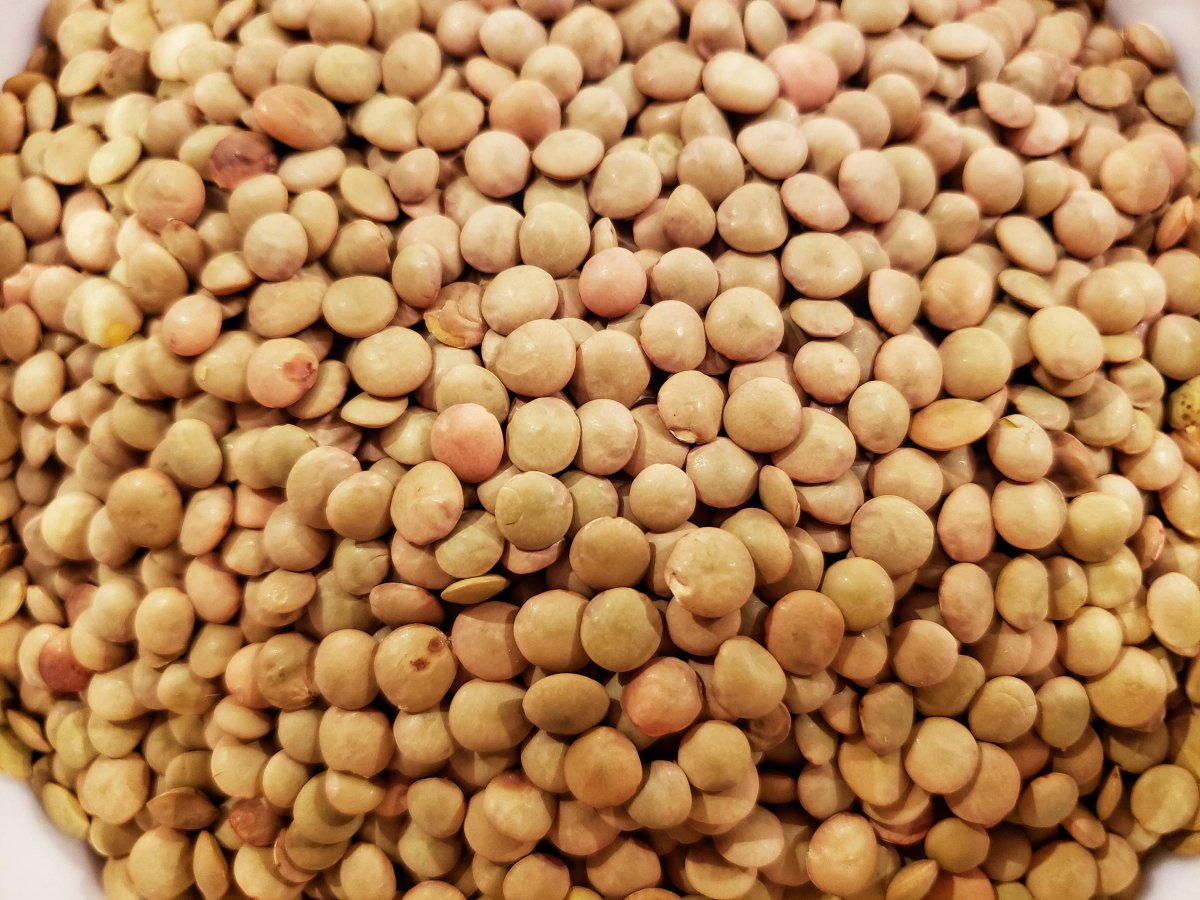 Чечевица 1, 2 сорта