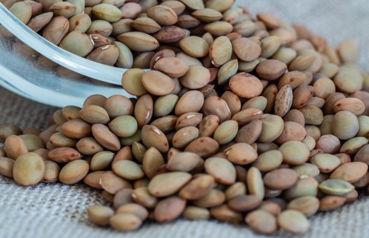 Маш (Бобы мунг) на столе рассыпанный PNG