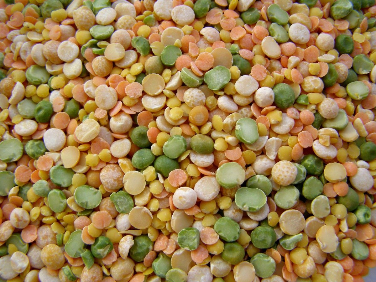 Чечевица сухая