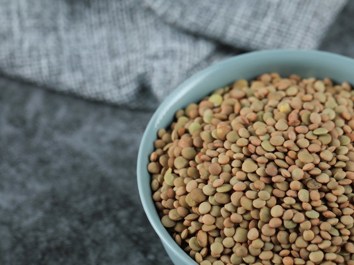 Голубая чечевица