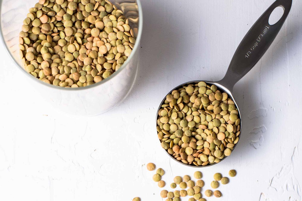 Чечевица растение сорт