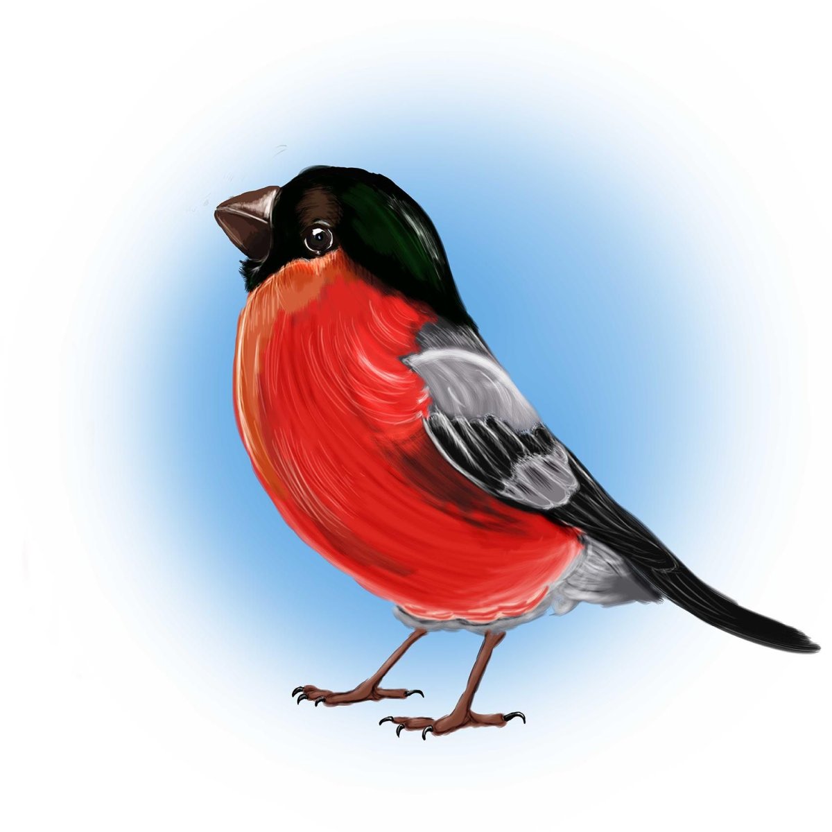 Снегирь летит