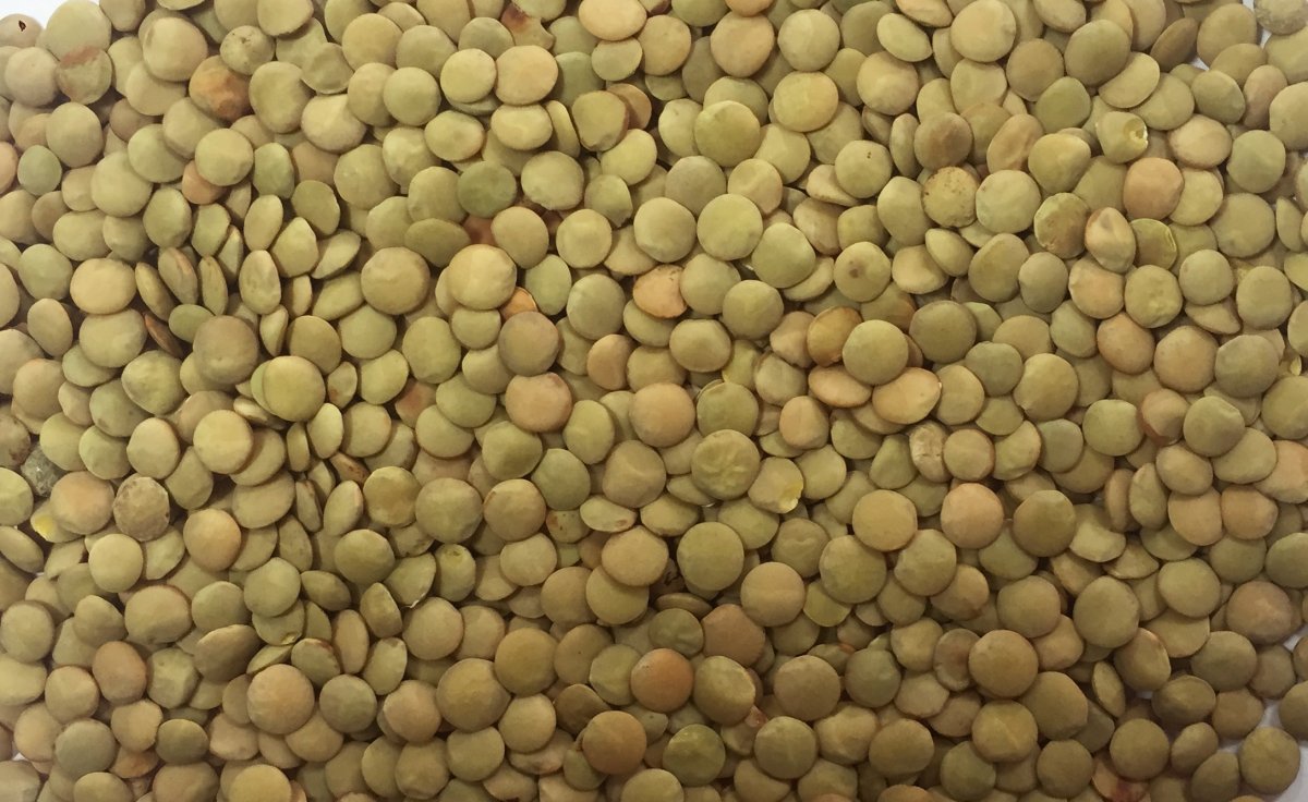 Чечевица здание