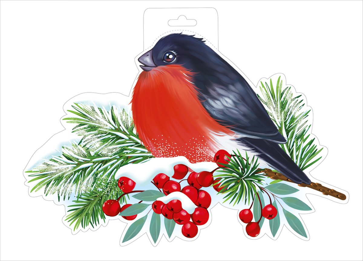 Снегирь на белом фоне