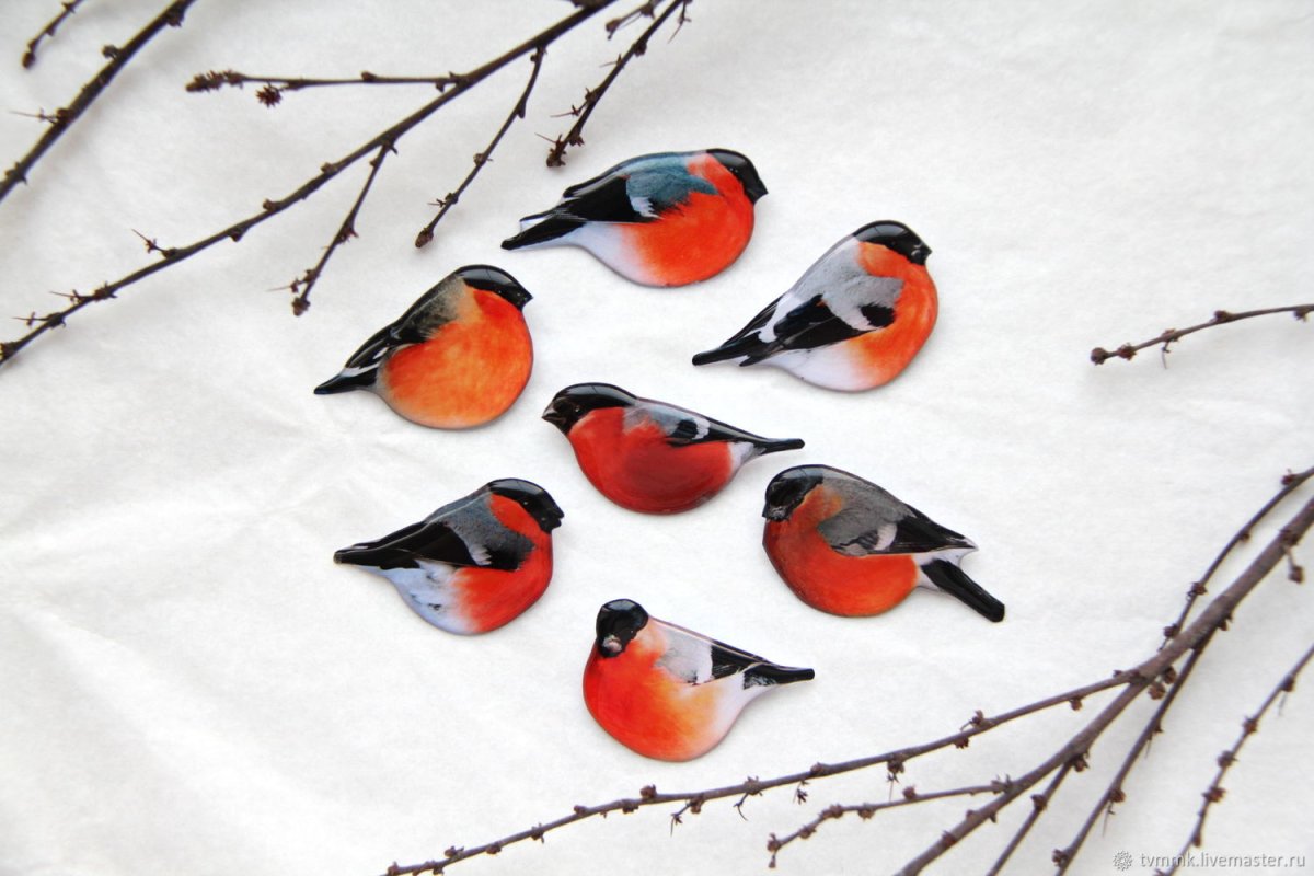 Силуэт снегиря на ветке