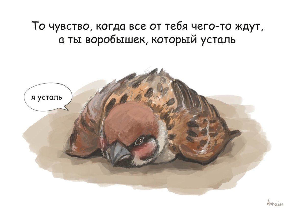 Воррбушек софиофобушек