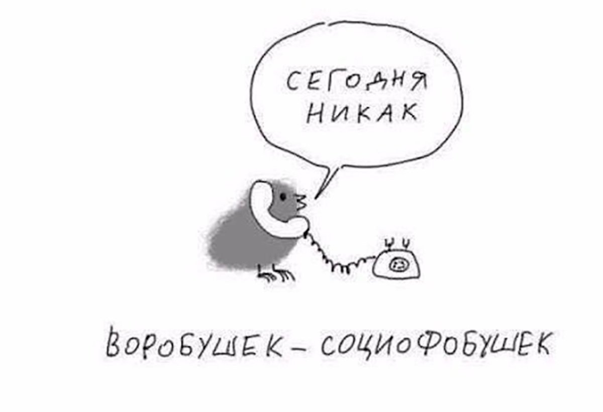 Воробушек социофобушек