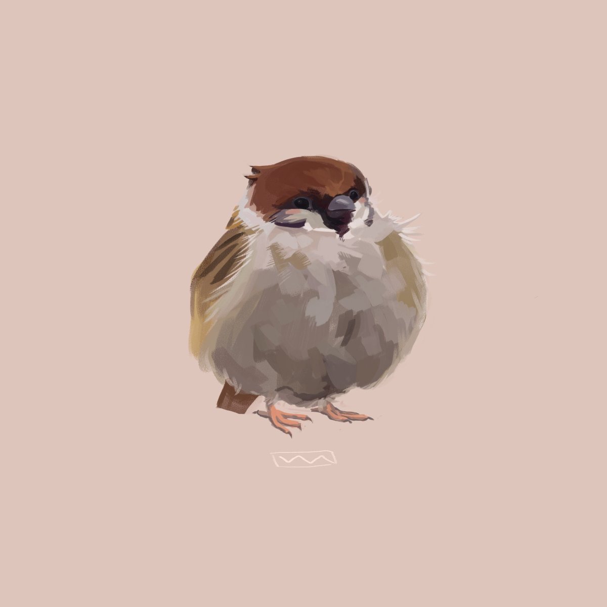 Мемы с птицами