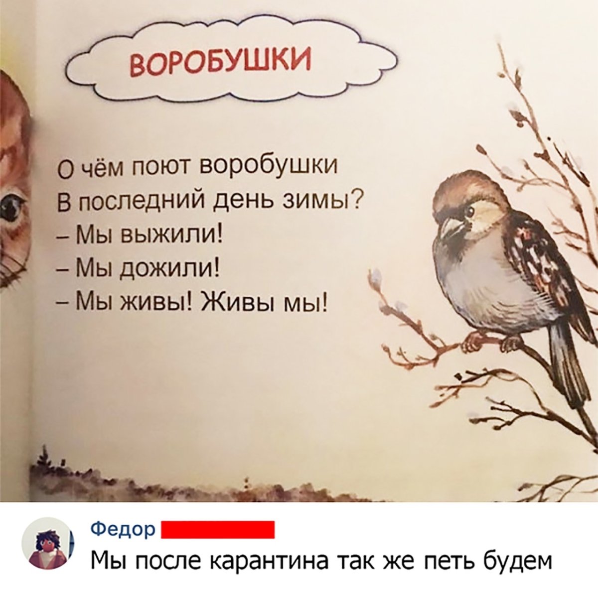 Воробушек социофобушек