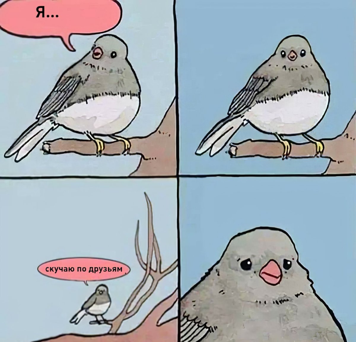 Что поют воробушки в последний